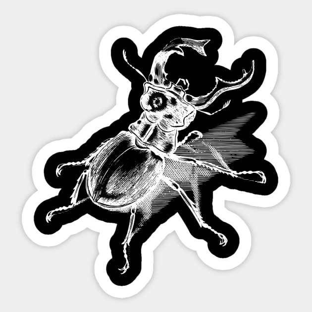 Dramabite Vintage stag beetle illustration Sticker by dramabite